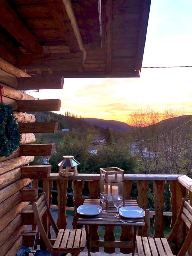 Le Bois Des Neiges Charmant Chalet Authentique A 5 Mn De Gerardmer Xonrupt-Longemer Exterior photo