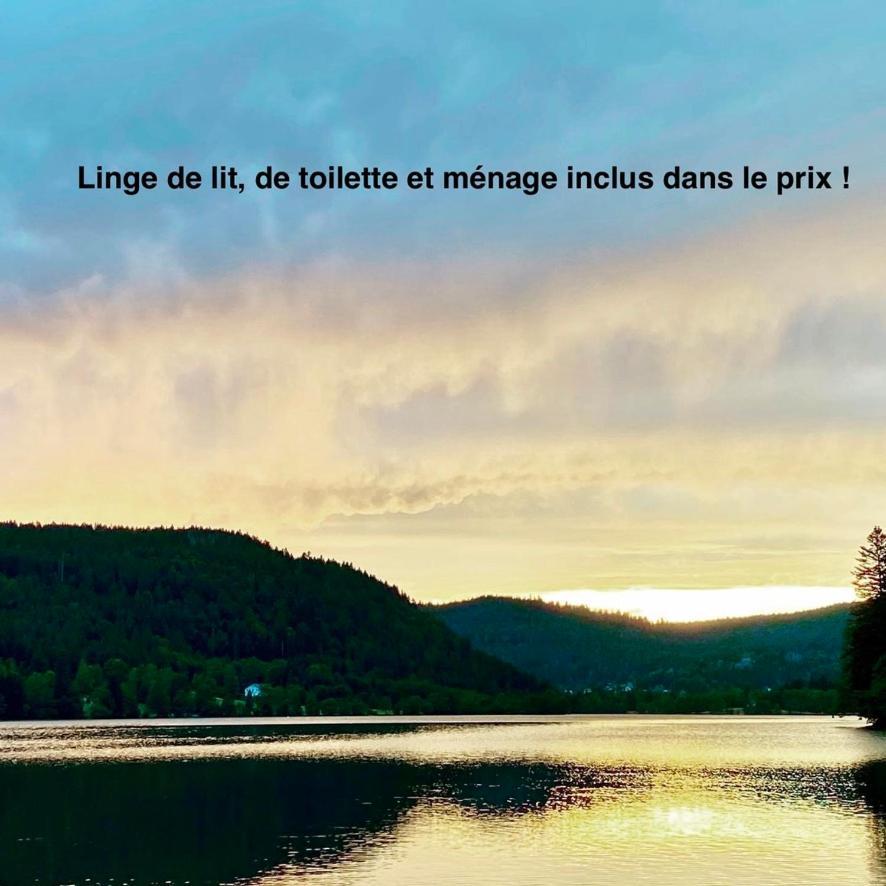 Le Bois Des Neiges Charmant Chalet Authentique A 5 Mn De Gerardmer Xonrupt-Longemer Exterior photo